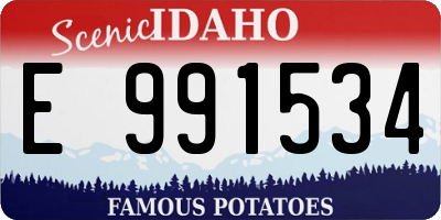 ID license plate E991534