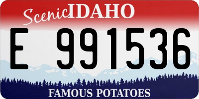 ID license plate E991536
