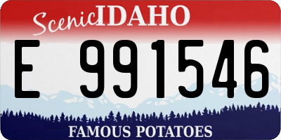 ID license plate E991546