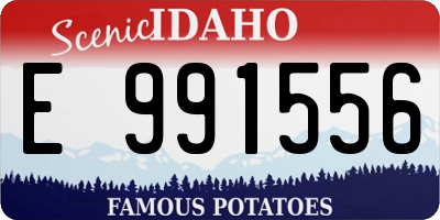 ID license plate E991556