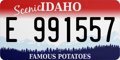ID license plate E991557