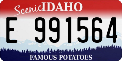ID license plate E991564