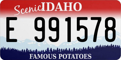 ID license plate E991578