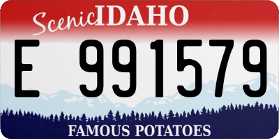 ID license plate E991579