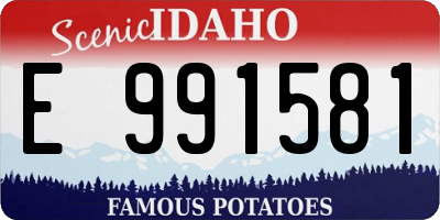 ID license plate E991581