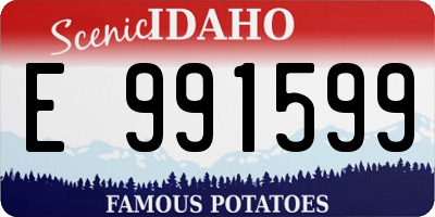 ID license plate E991599