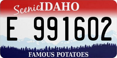 ID license plate E991602
