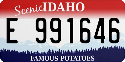 ID license plate E991646