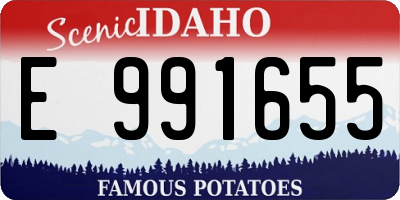 ID license plate E991655
