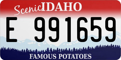 ID license plate E991659