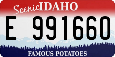 ID license plate E991660