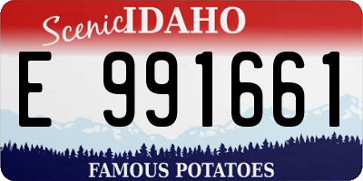 ID license plate E991661