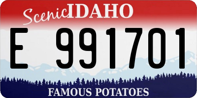 ID license plate E991701