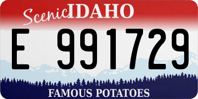 ID license plate E991729
