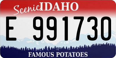ID license plate E991730