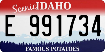 ID license plate E991734