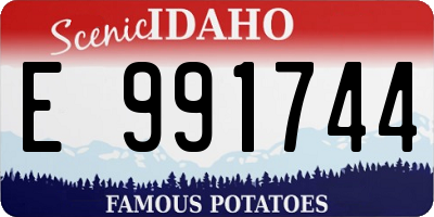 ID license plate E991744