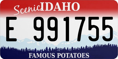 ID license plate E991755