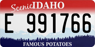 ID license plate E991766