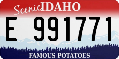 ID license plate E991771