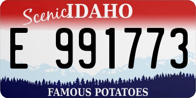 ID license plate E991773