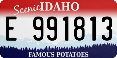 ID license plate E991813