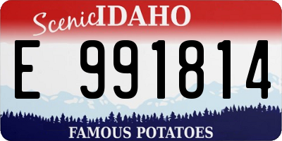 ID license plate E991814