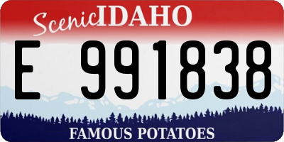 ID license plate E991838