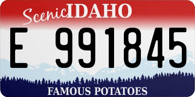 ID license plate E991845