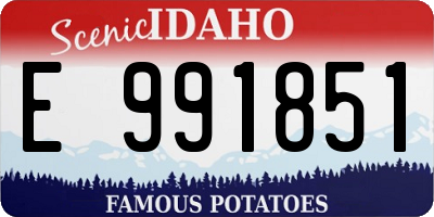 ID license plate E991851