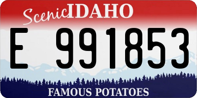 ID license plate E991853