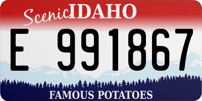 ID license plate E991867