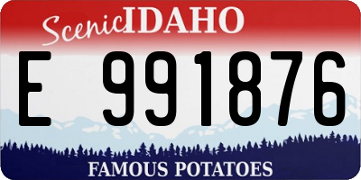 ID license plate E991876