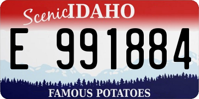 ID license plate E991884