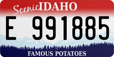ID license plate E991885