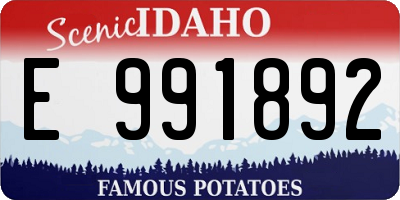ID license plate E991892