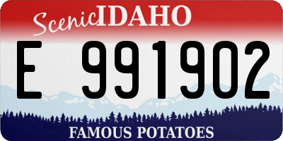 ID license plate E991902
