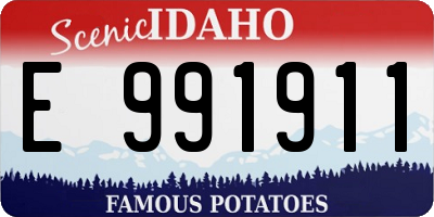 ID license plate E991911