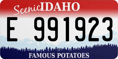 ID license plate E991923
