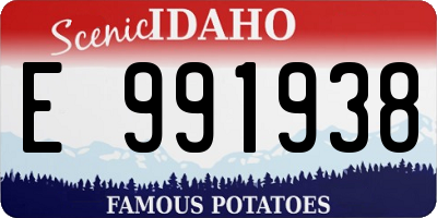 ID license plate E991938