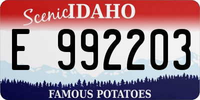 ID license plate E992203