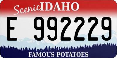 ID license plate E992229