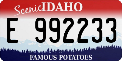 ID license plate E992233