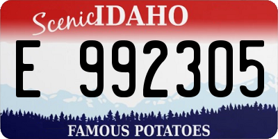 ID license plate E992305