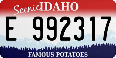 ID license plate E992317