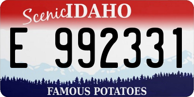 ID license plate E992331