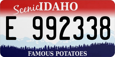 ID license plate E992338