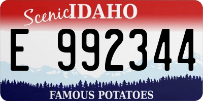 ID license plate E992344