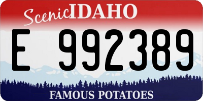 ID license plate E992389