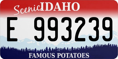 ID license plate E993239